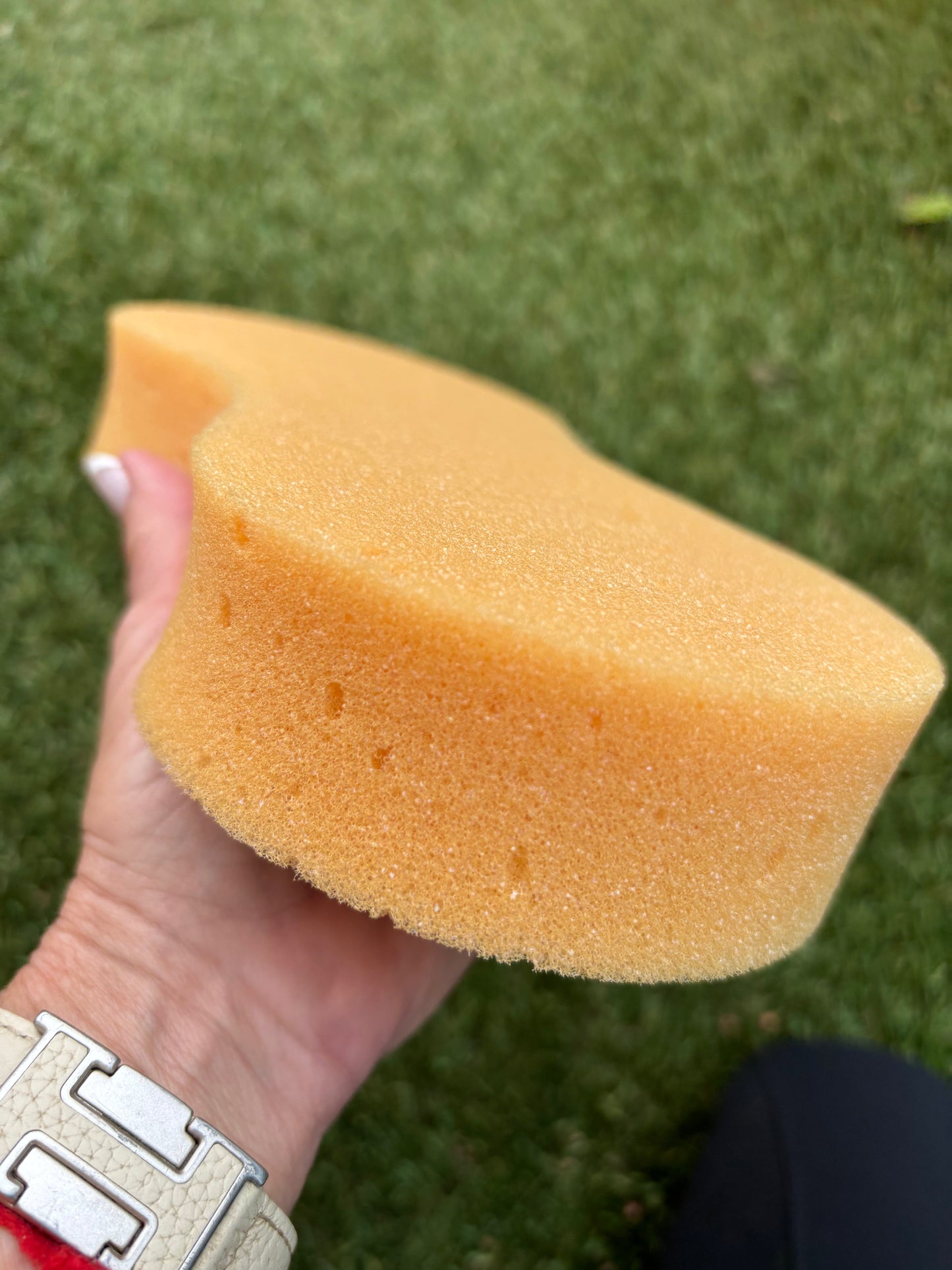 Bundle Pure Morocco Argan Oil Shampoo 32oz plus Essential Oil Coat Conditioner Peach and Honey 16oz with Sponge applicator