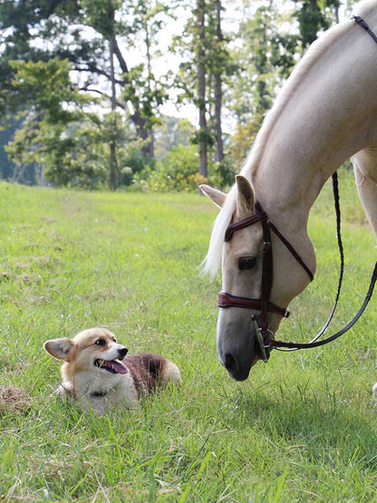Santorini Snaffle Bridle