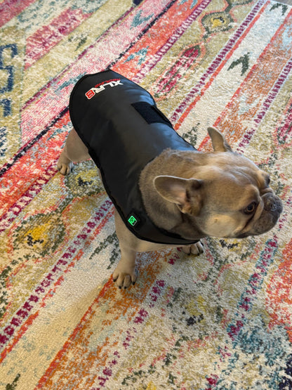 Redline Dog Wrap- Small - Riders Choice Supply Co