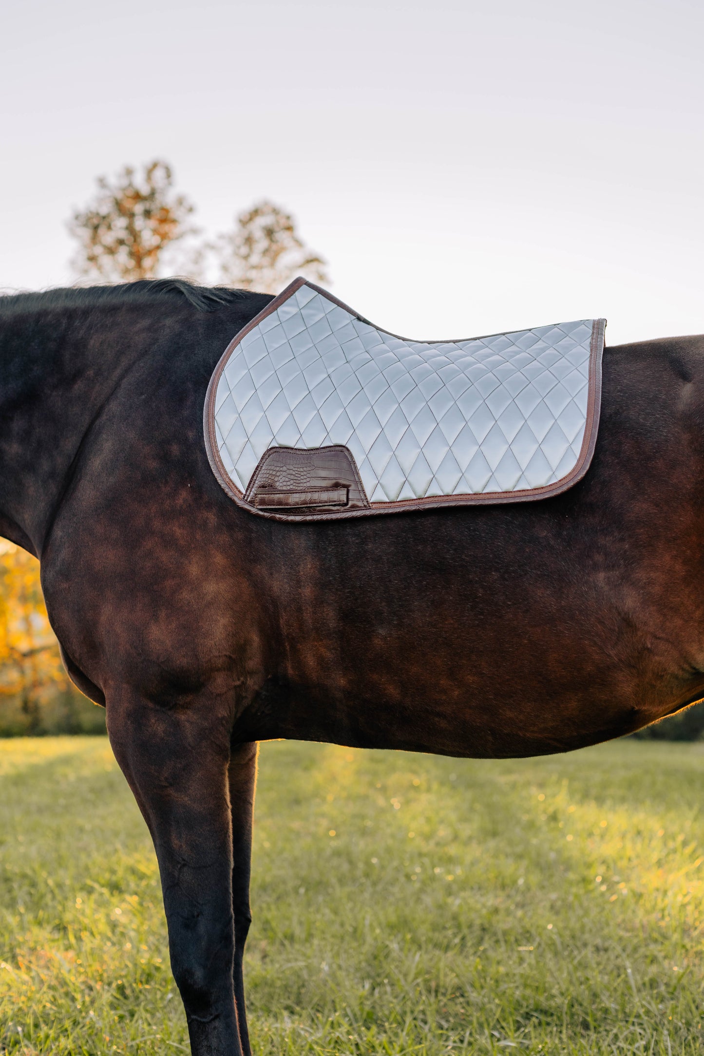 Jump Saddle Pad | Chrome - Riders Choice Supply Co