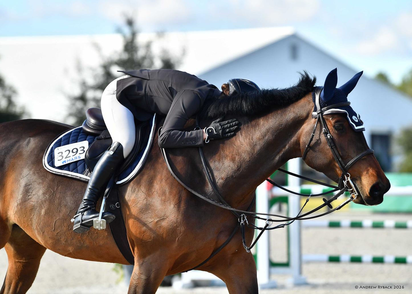 Jump Saddle Pad | Navy - Riders Choice Supply Co