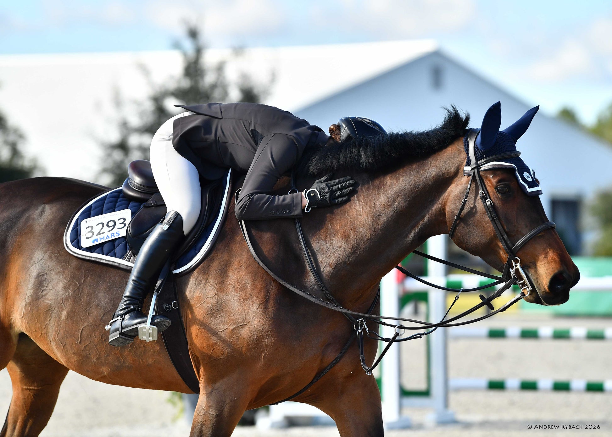 Jump Saddle Pad | Navy - Riders Choice Supply Co