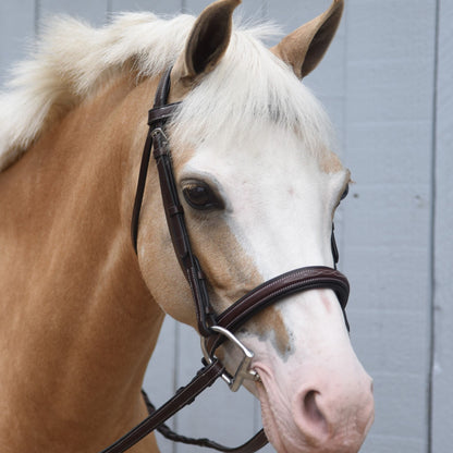 KL Select Red Barn Icon Bridle