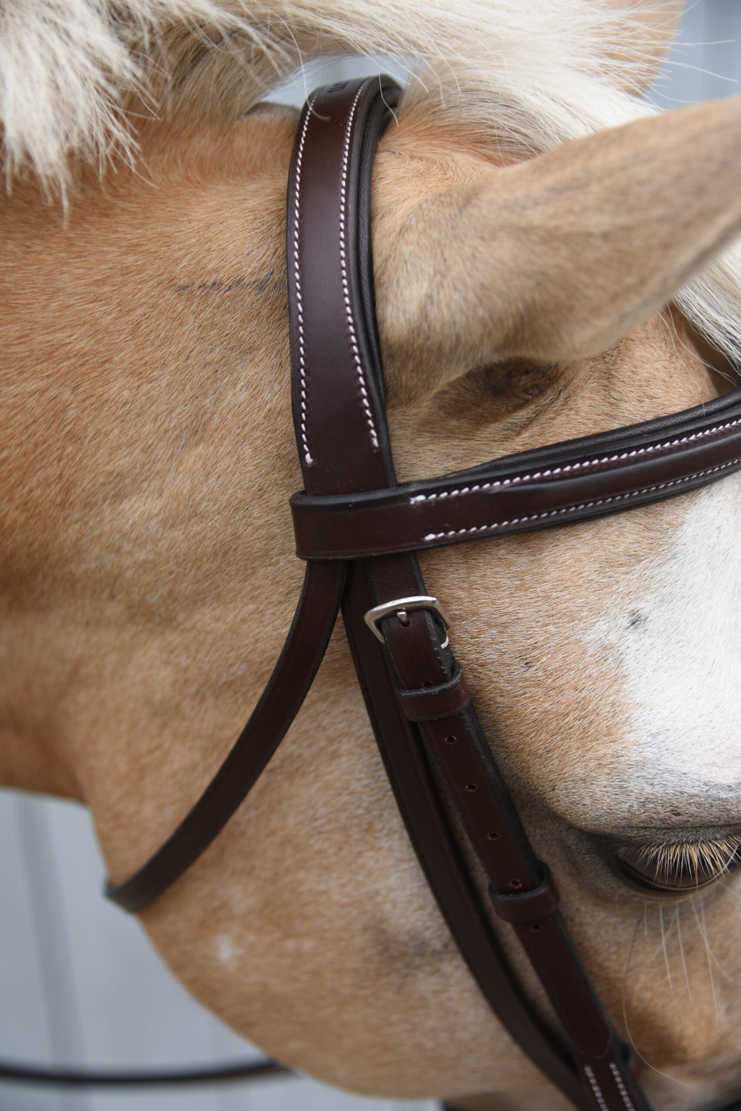 KL Select Red Barn Icon Bridle