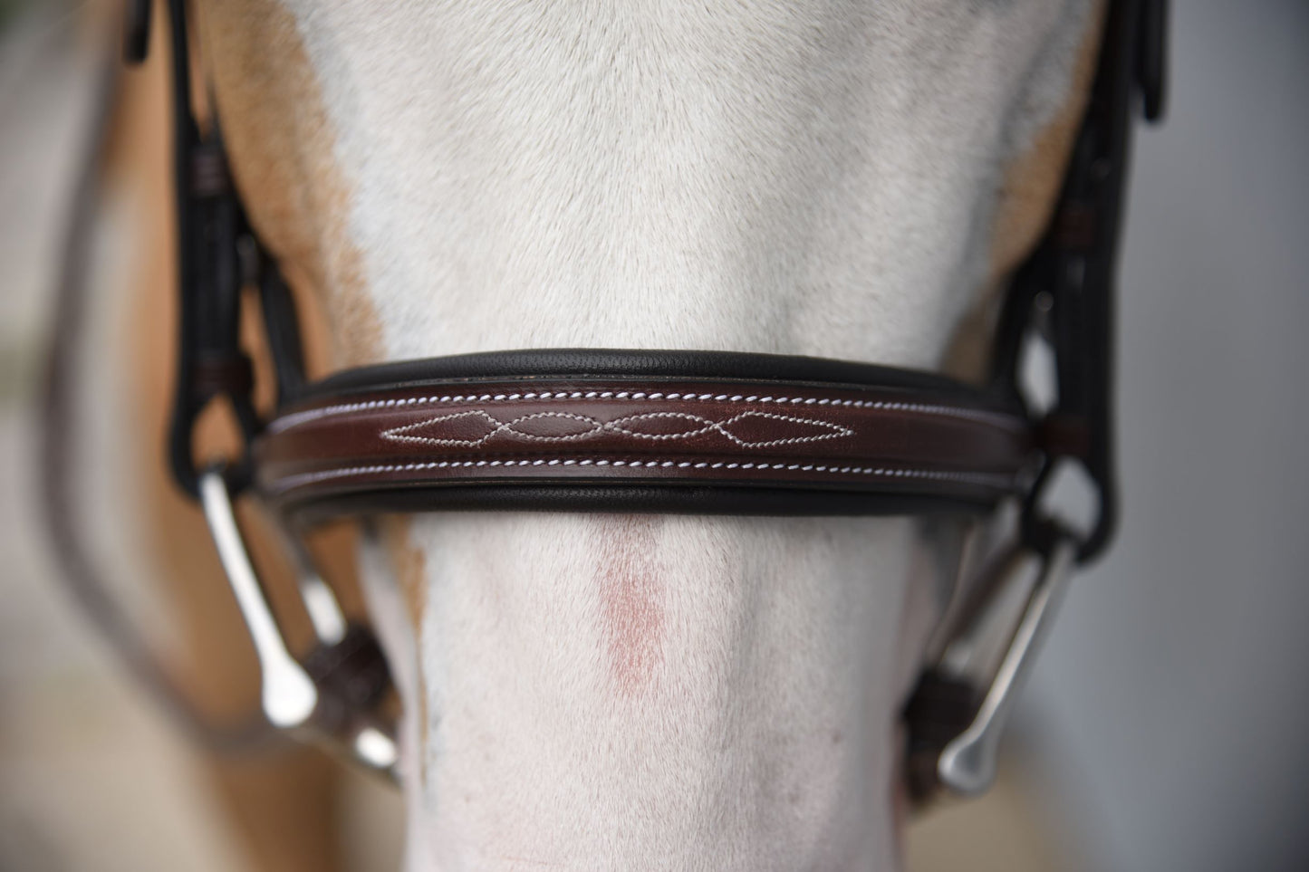 KL Select Red Barn Icon Bridle