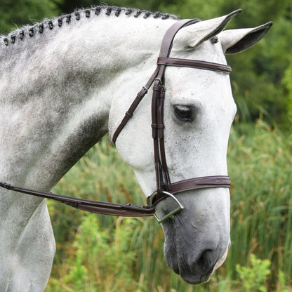KL Select Red Barn Indio Bridle