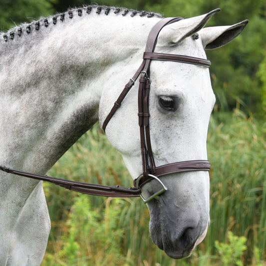 KL Select Red Barn Indio Bridle