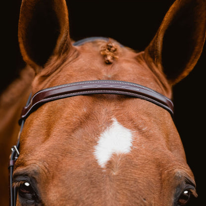 KL Select Red Barn Indio Bridle