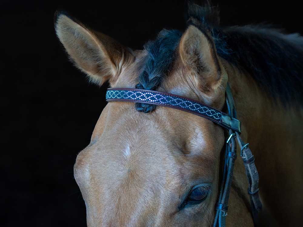 Intertwining Chain Browband