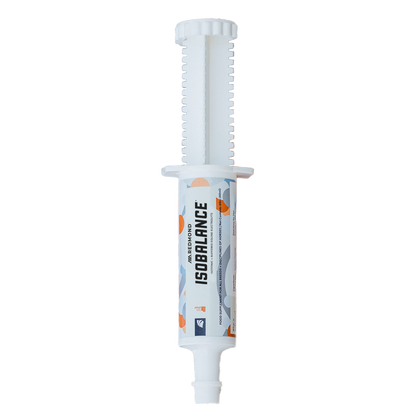 IsoBalance - Horse Electrolyte Paste - Riders Choice Supply Co