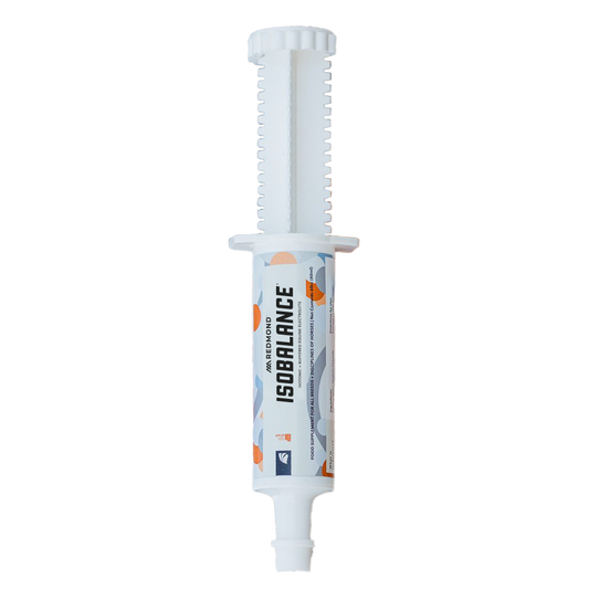 IsoBalance - Horse Electrolyte Paste - Riders Choice Supply Co