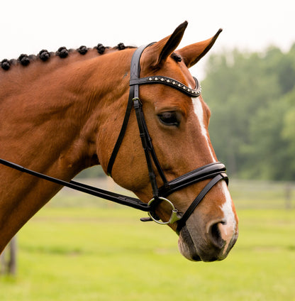 KL Select Red Barn Stride Bridle