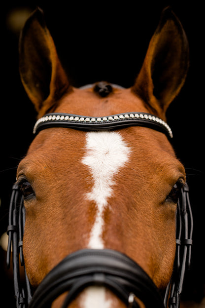KL Select Flexion Bridle