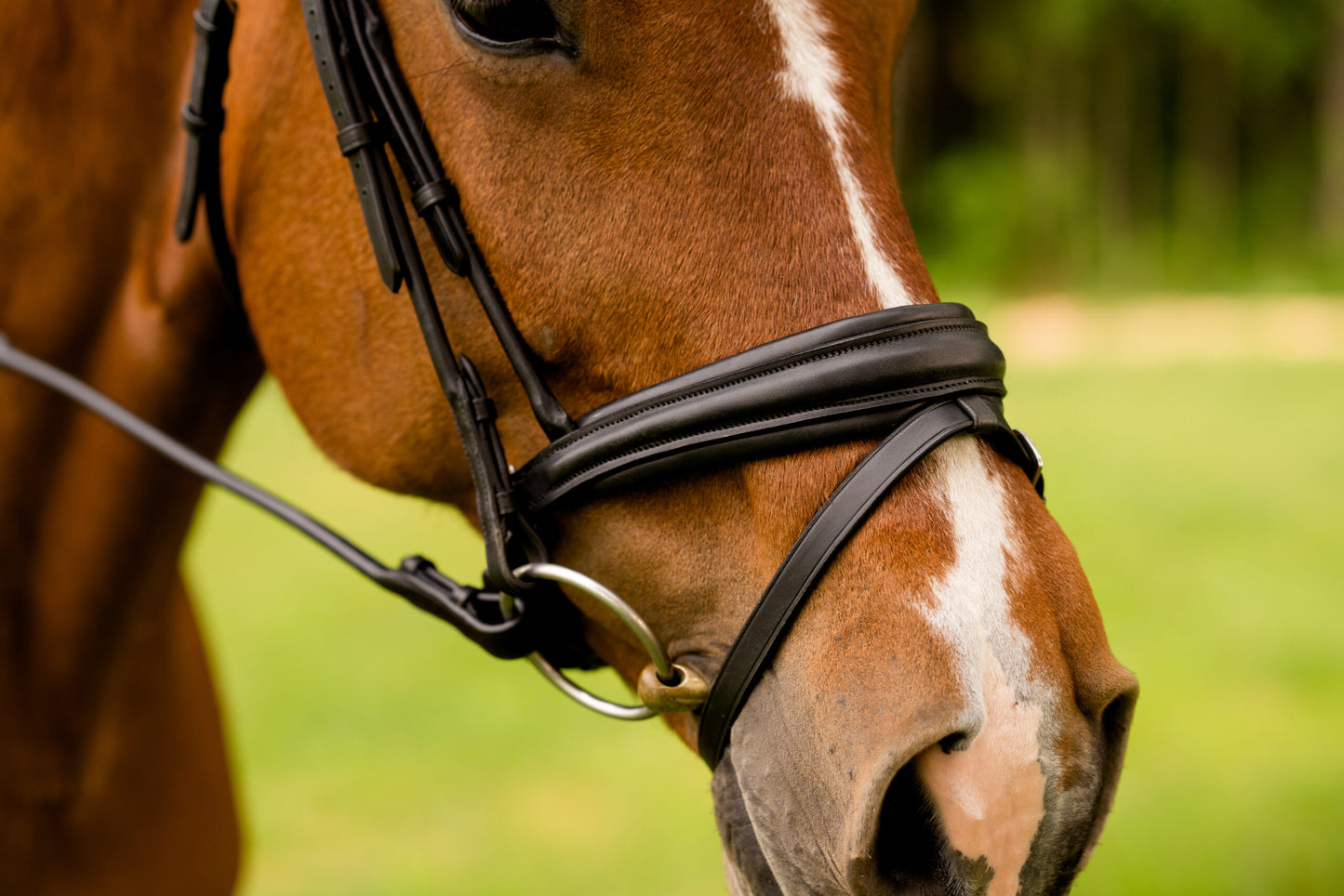KL Select Flexion Bridle