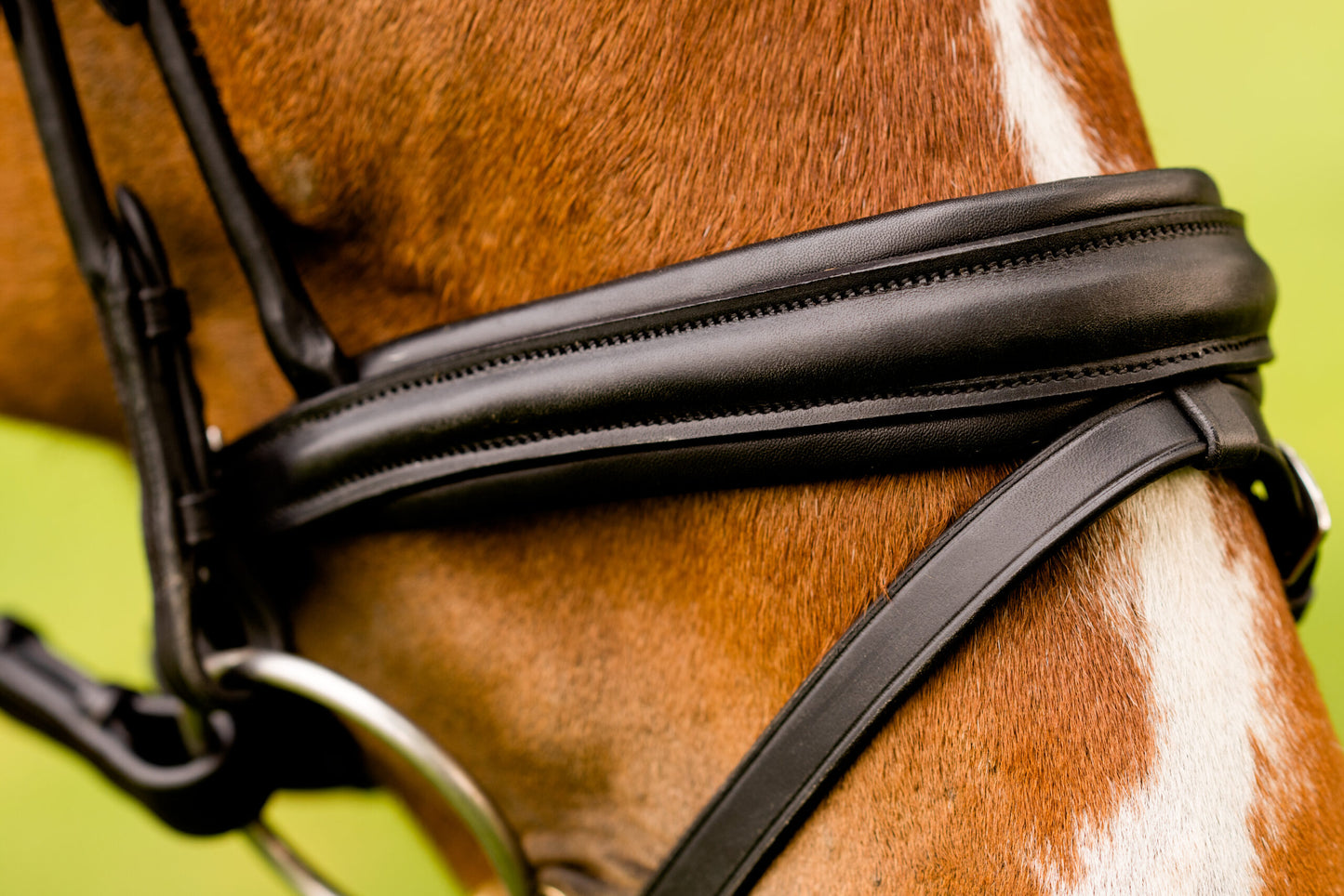 KL Select Flexion Bridle