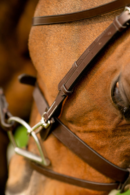 KL Select Black Oak Maple Bridle