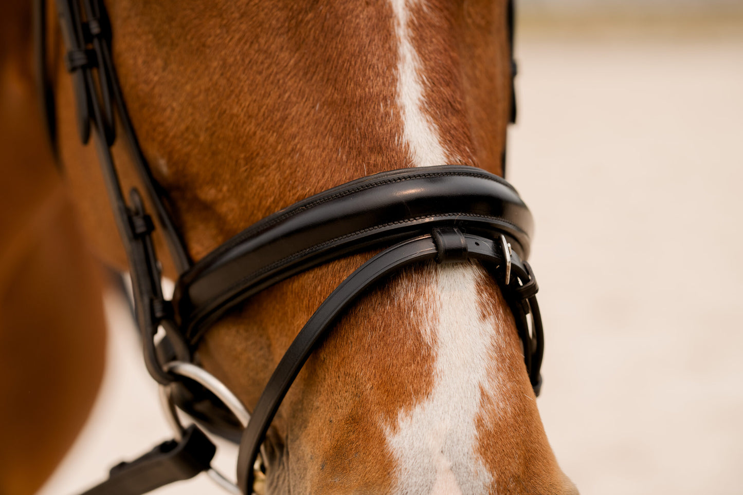 KL Select Flexion Rolled Bridle in Patent Leather