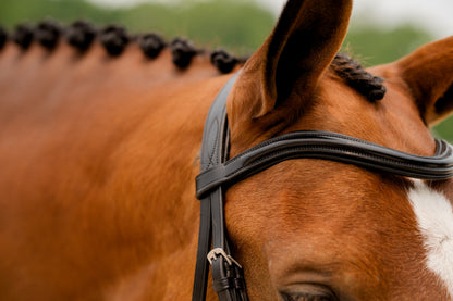 KL Select Flexion Rolled Bridle in Patent Leather