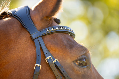 KL Select Red Barn Olympian Bridle