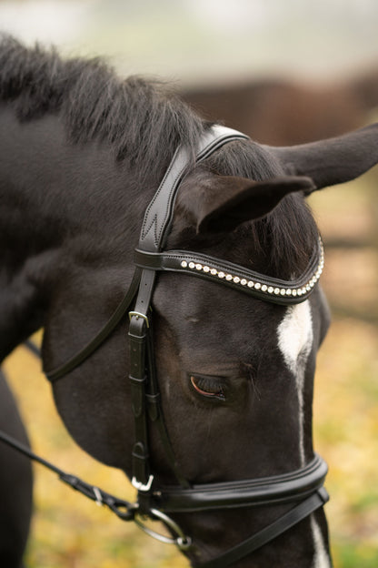 KL Select Black Oak Magnolia Bridle