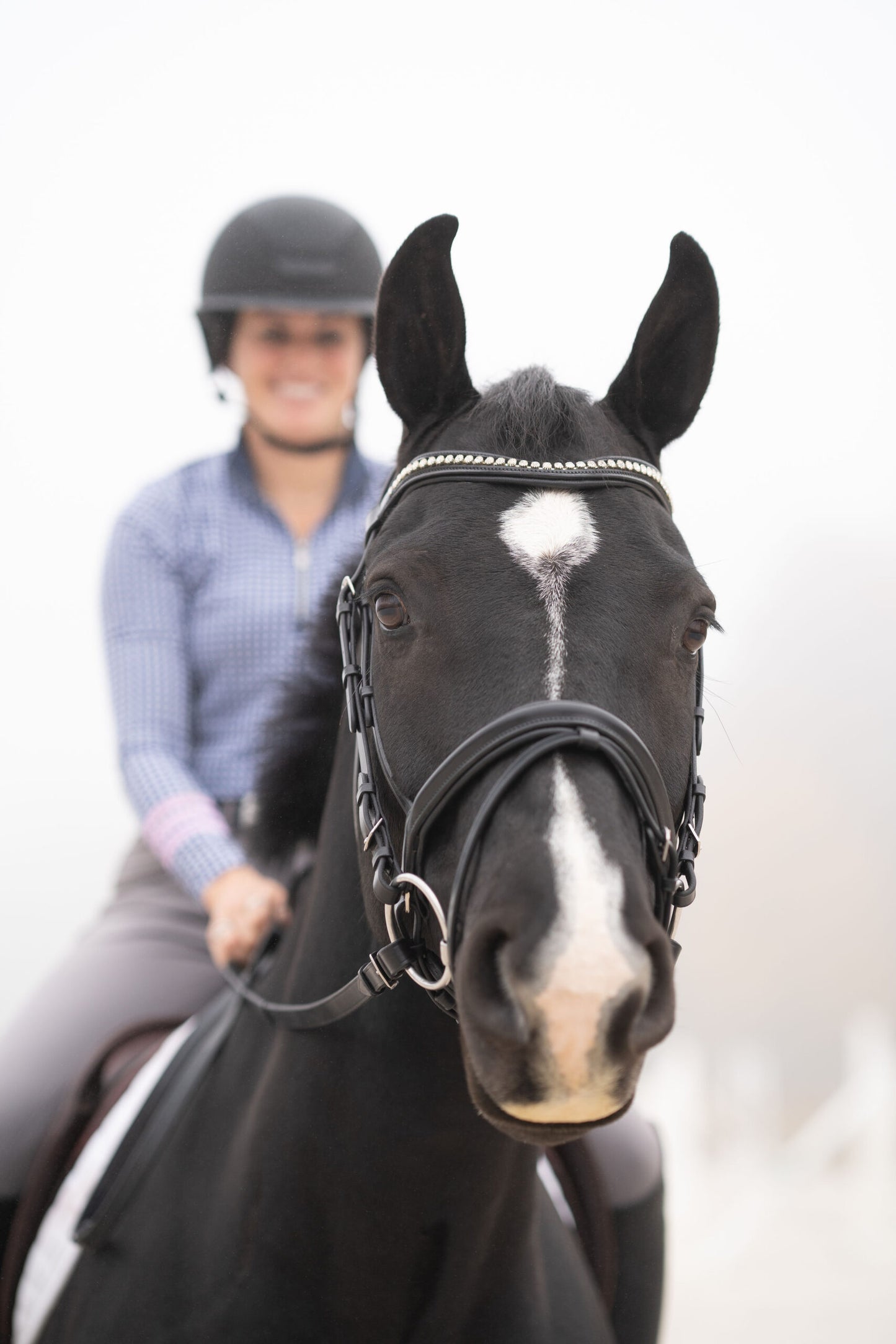 KL Select Black Oak Magnolia Bridle