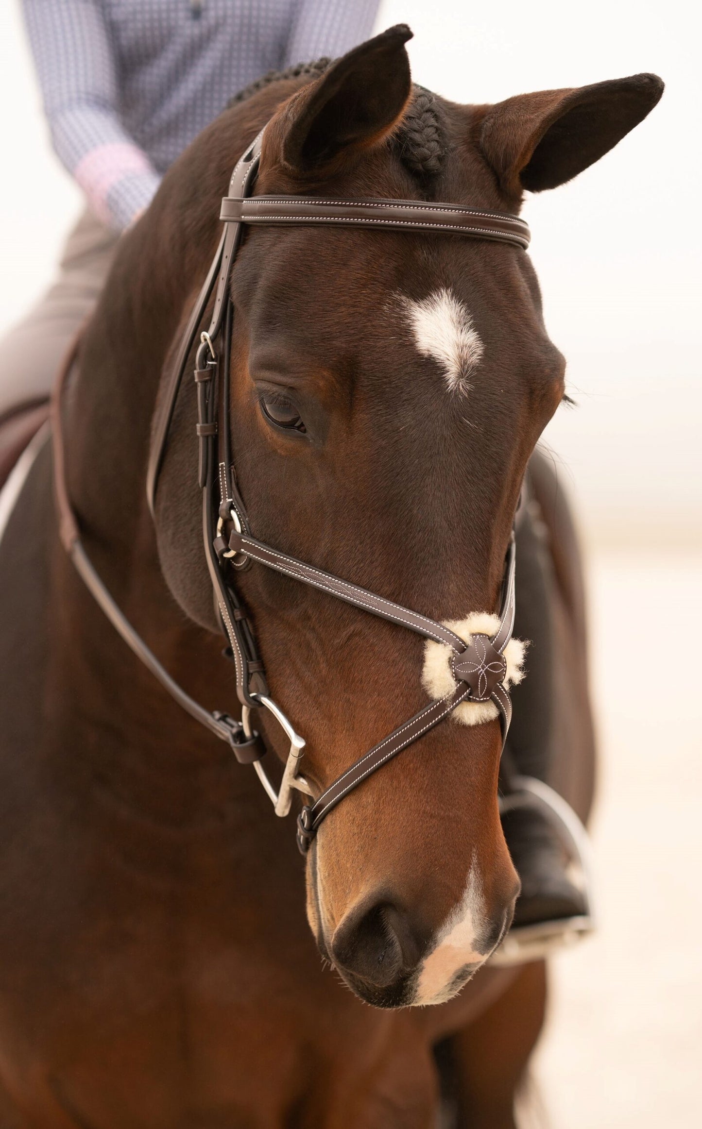 KL Select Black Oak Cedar Bridle