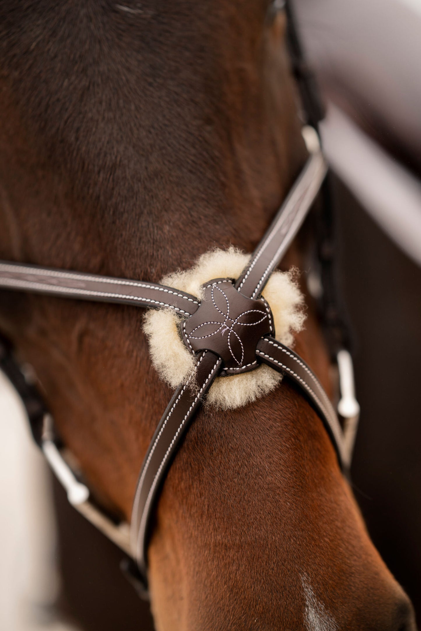 KL Select Black Oak Cedar Bridle