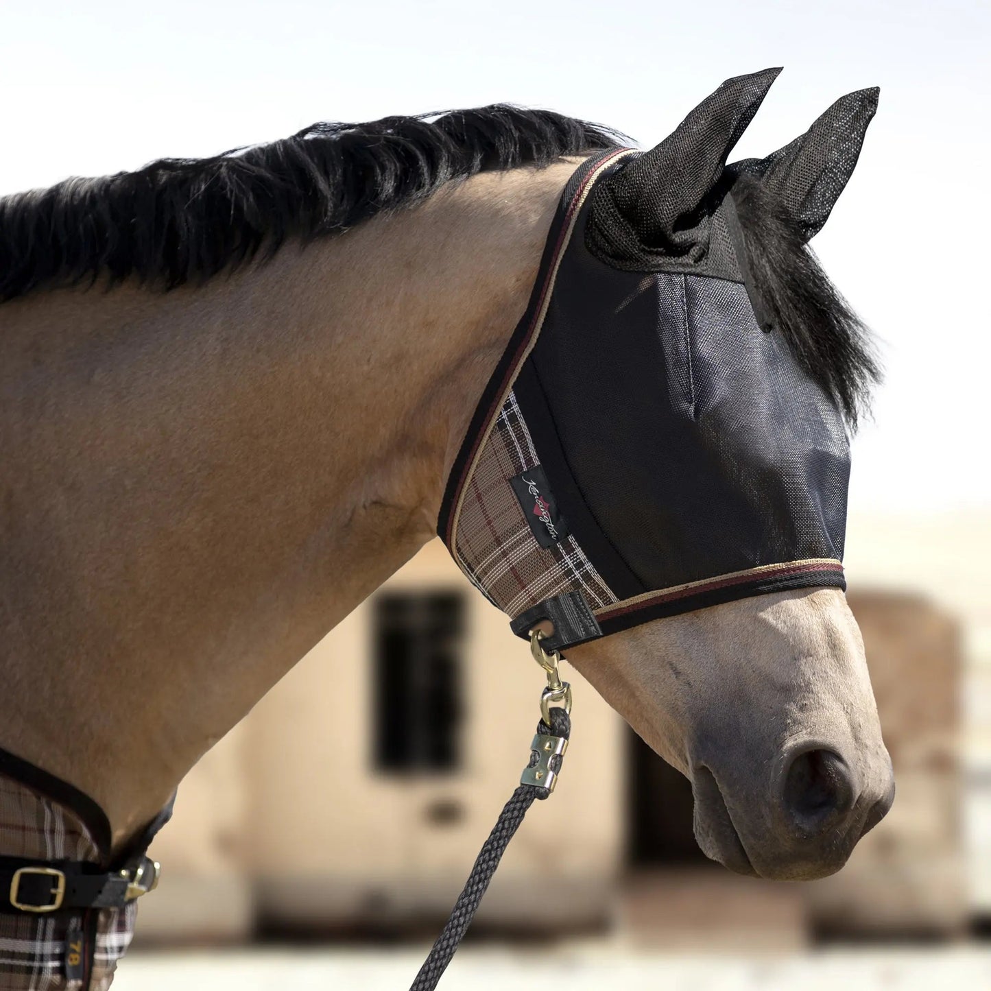 UViator CatchMask Fly Mask with Ears & 90% UV Protection - Riders Choice Supply Co