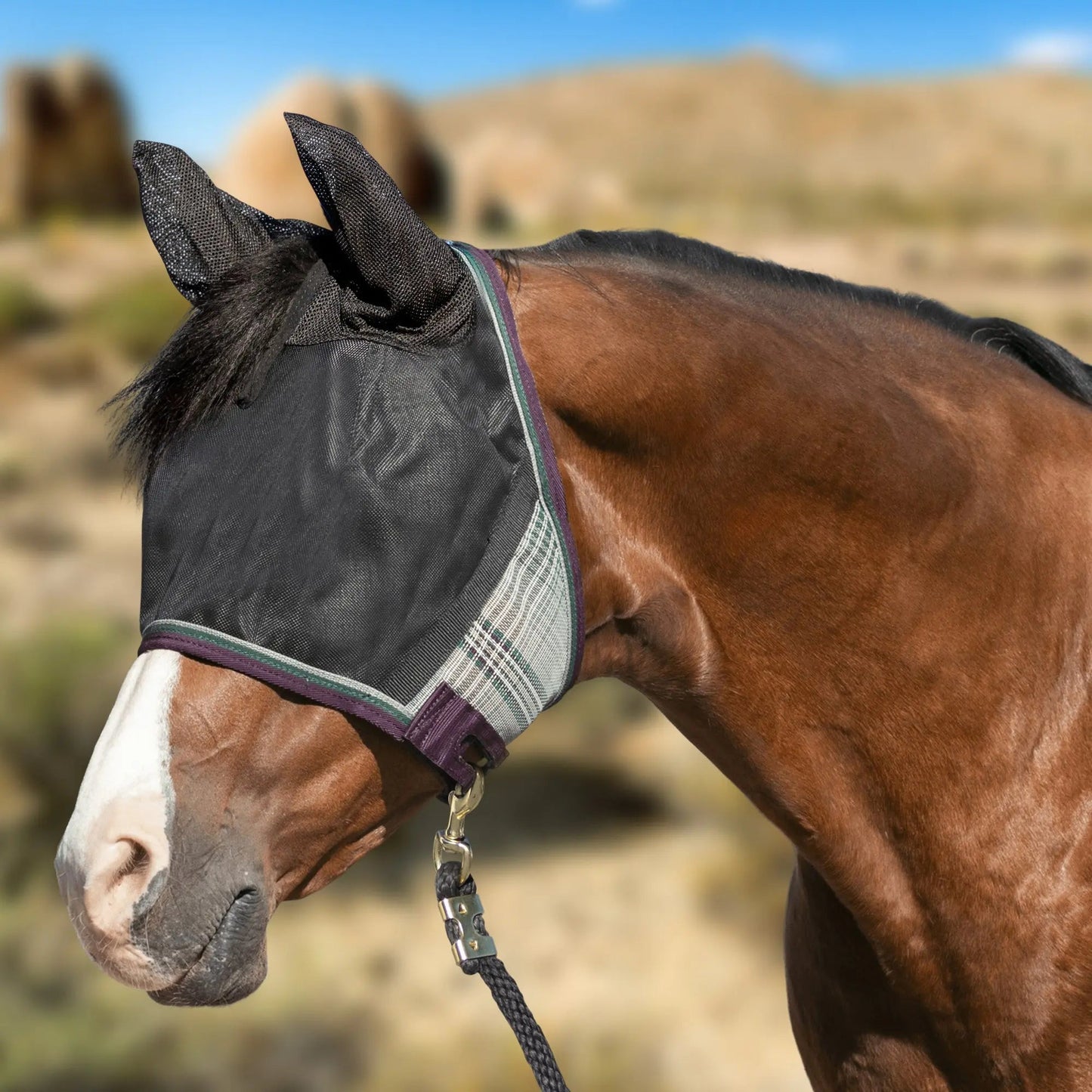 UViator CatchMask Fly Mask with Ears & 90% UV Protection - Riders Choice Supply Co