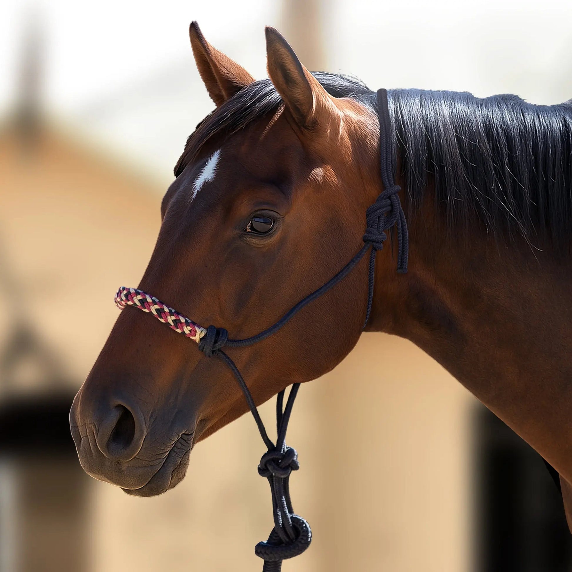 Clinician Training Rope Halter with Braided Nose - Riders Choice Supply Co