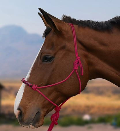 Clinician Training Rope Halter with Braided Nose - Riders Choice Supply Co