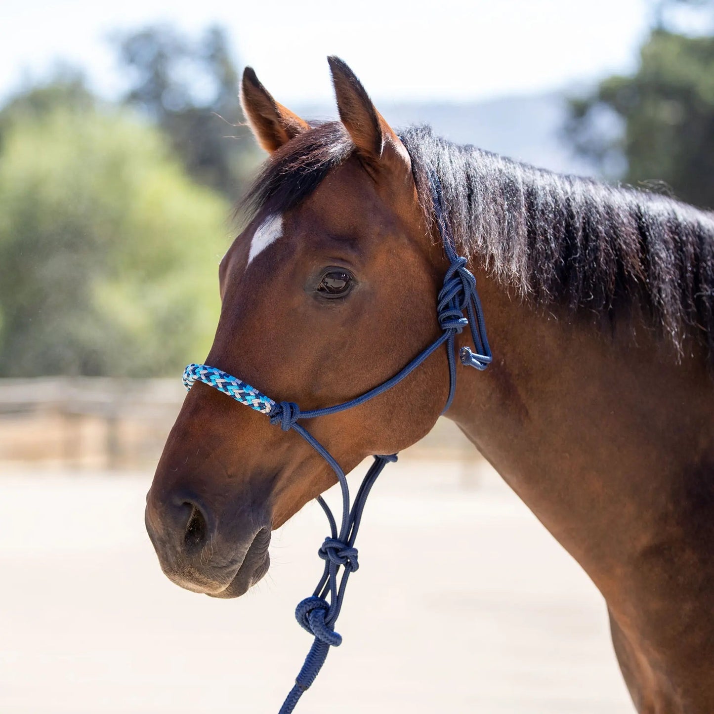 Clinician Training Rope Halter with Braided Nose - Riders Choice Supply Co