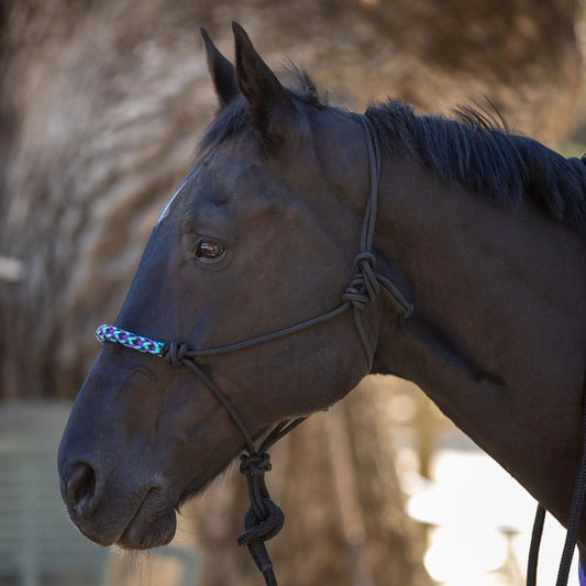 Clinician Training Rope Halter with Braided Nose - Riders Choice Supply Co
