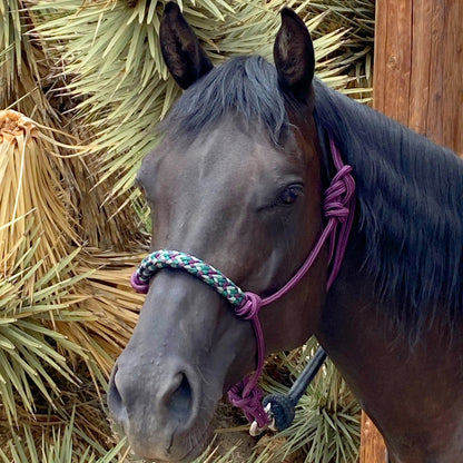 Clinician Training Rope Halter with Braided Nose - Riders Choice Supply Co