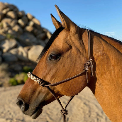 Clinician Training Rope Halter with Braided Nose - Riders Choice Supply Co