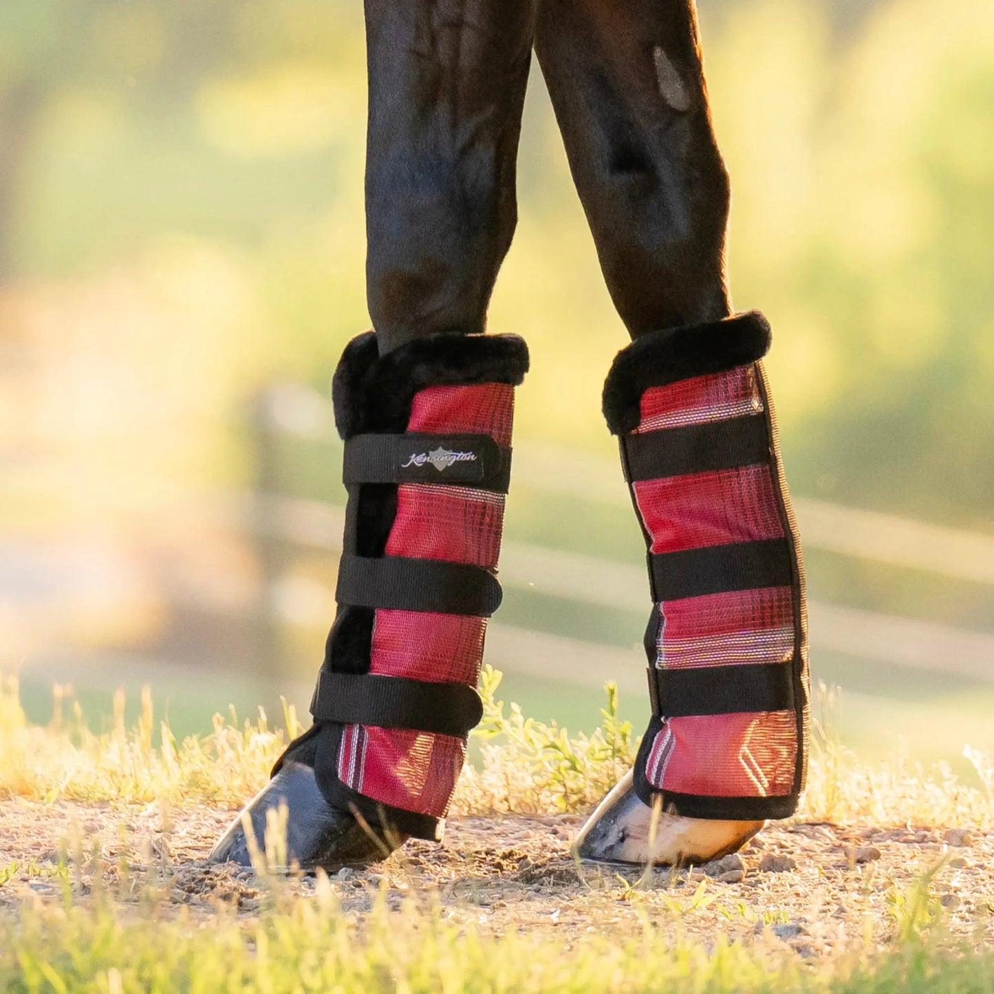 Horse Fly Boots with Fleece Trim - Set of 2 - 73% UV + Fly Protection - Riders Choice Supply Co