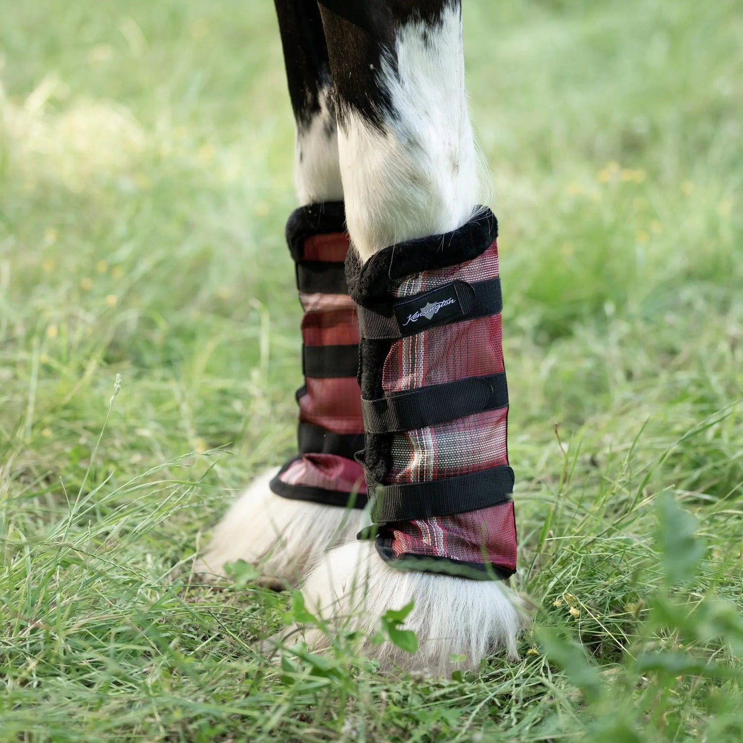 Draft Fly Boots with Fleece Trim - Set of 2 - 73% UV + Fly Protection - Riders Choice Supply Co