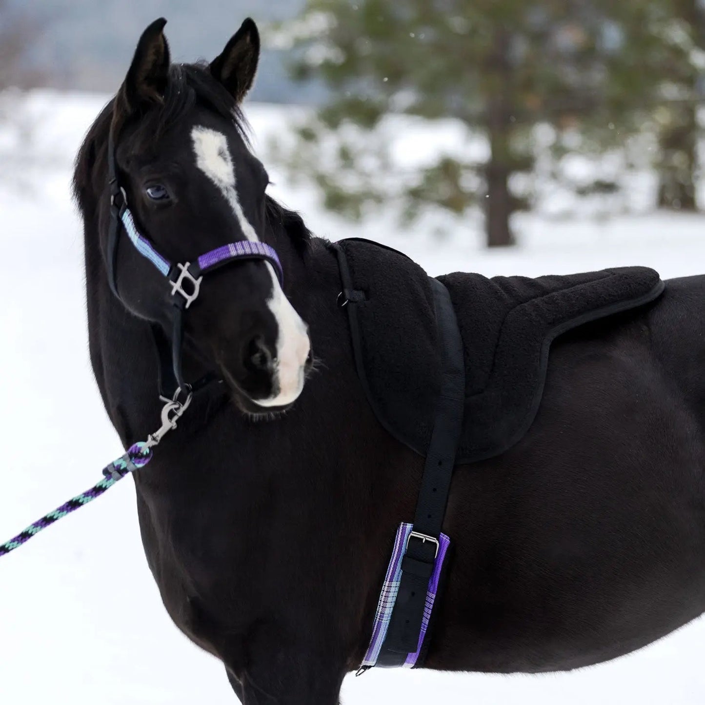 Plush Fleece Bareback Pad - Comfort for Horse & Human - Riders Choice Supply Co