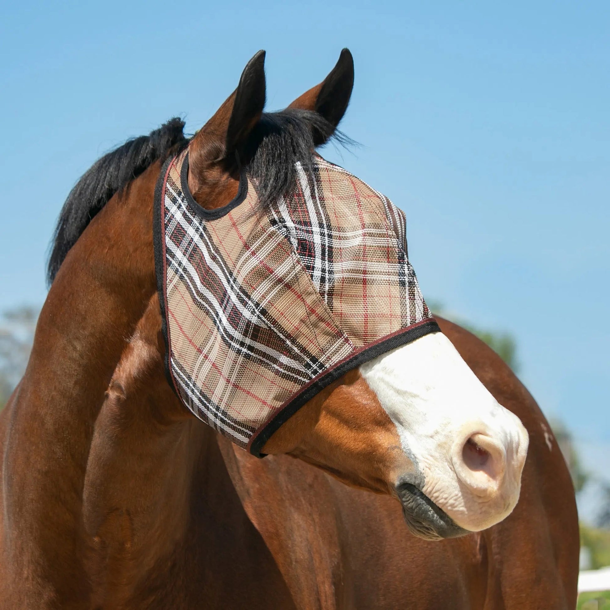 Fly Mask with 73% UV Protection - Riders Choice Supply Co