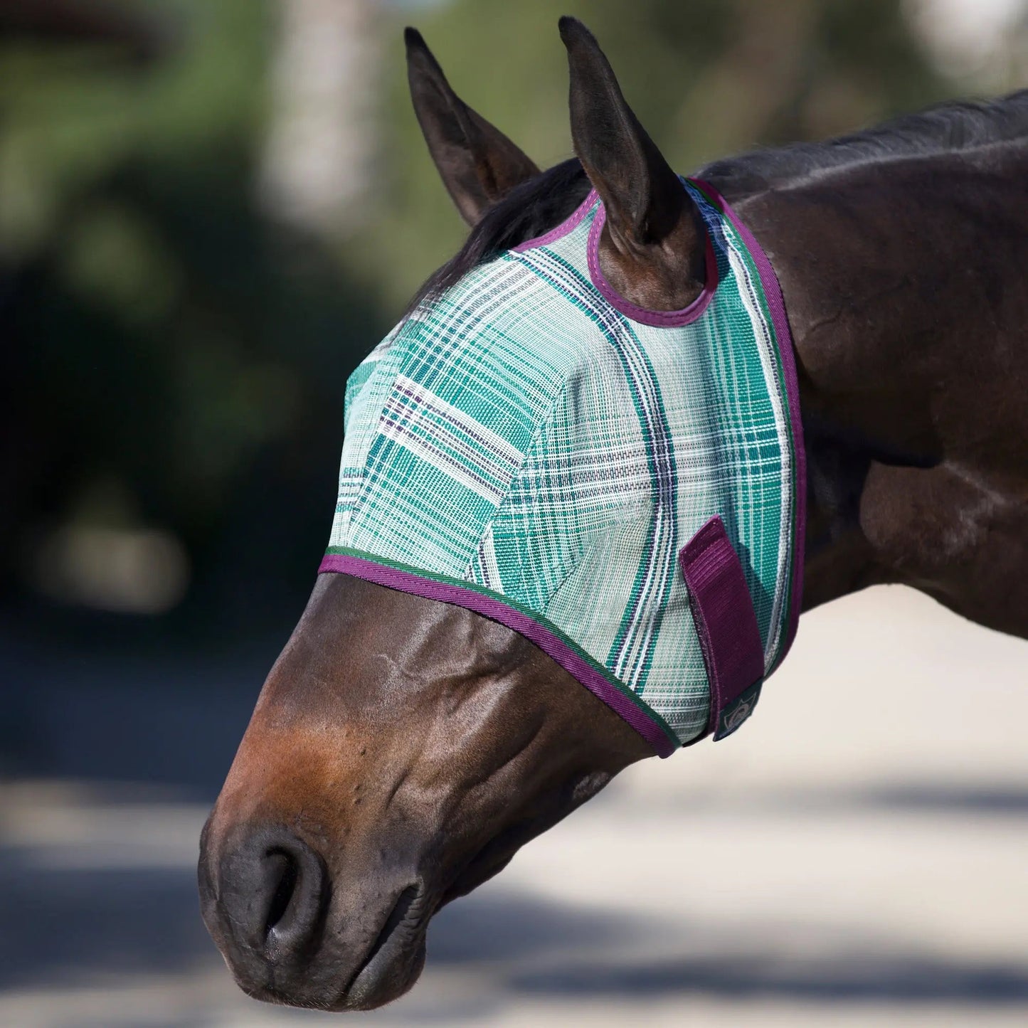 Fly Mask with 73% UV Protection - Riders Choice Supply Co
