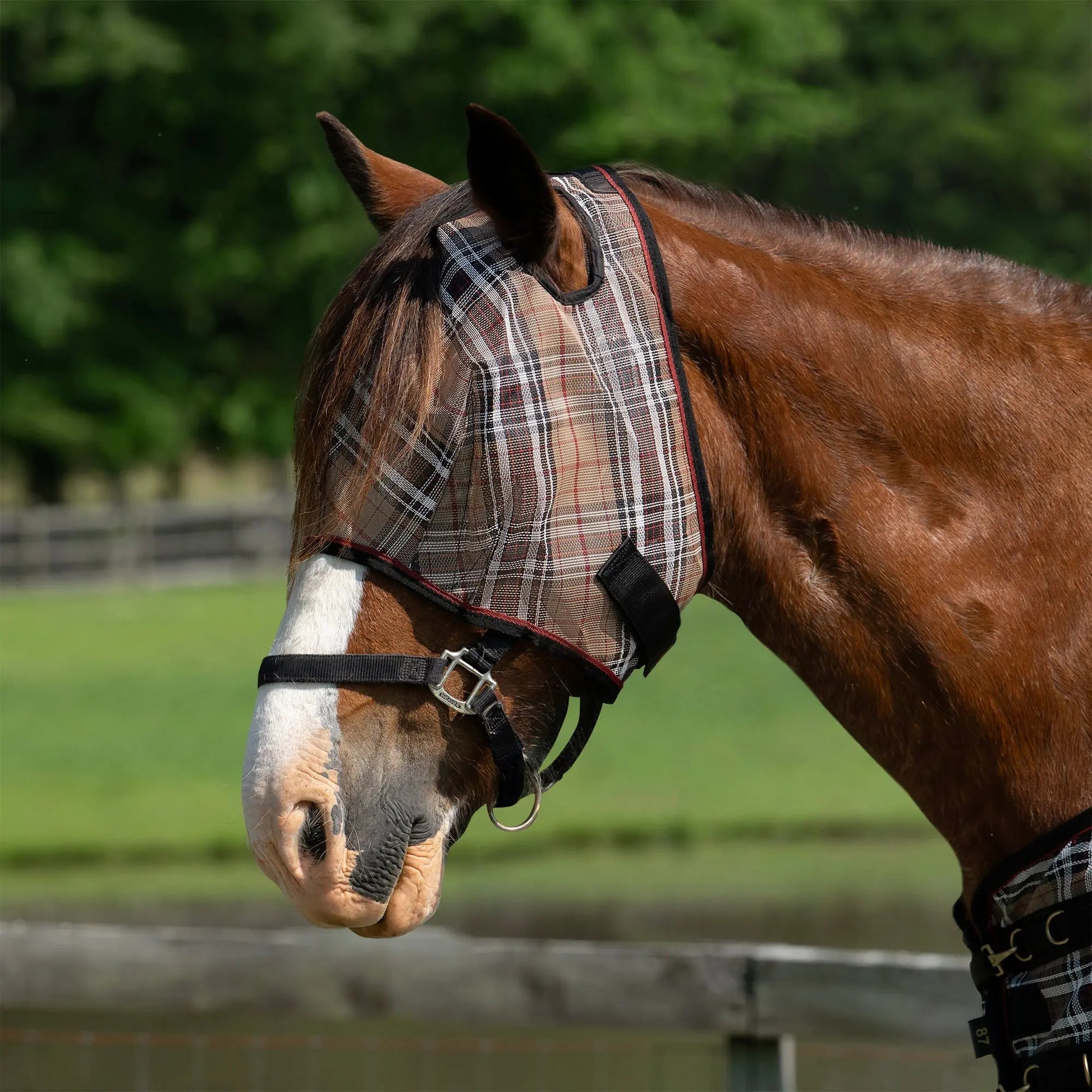Draft Horse Fly Mask with 73% UV Protection - Riders Choice Supply Co