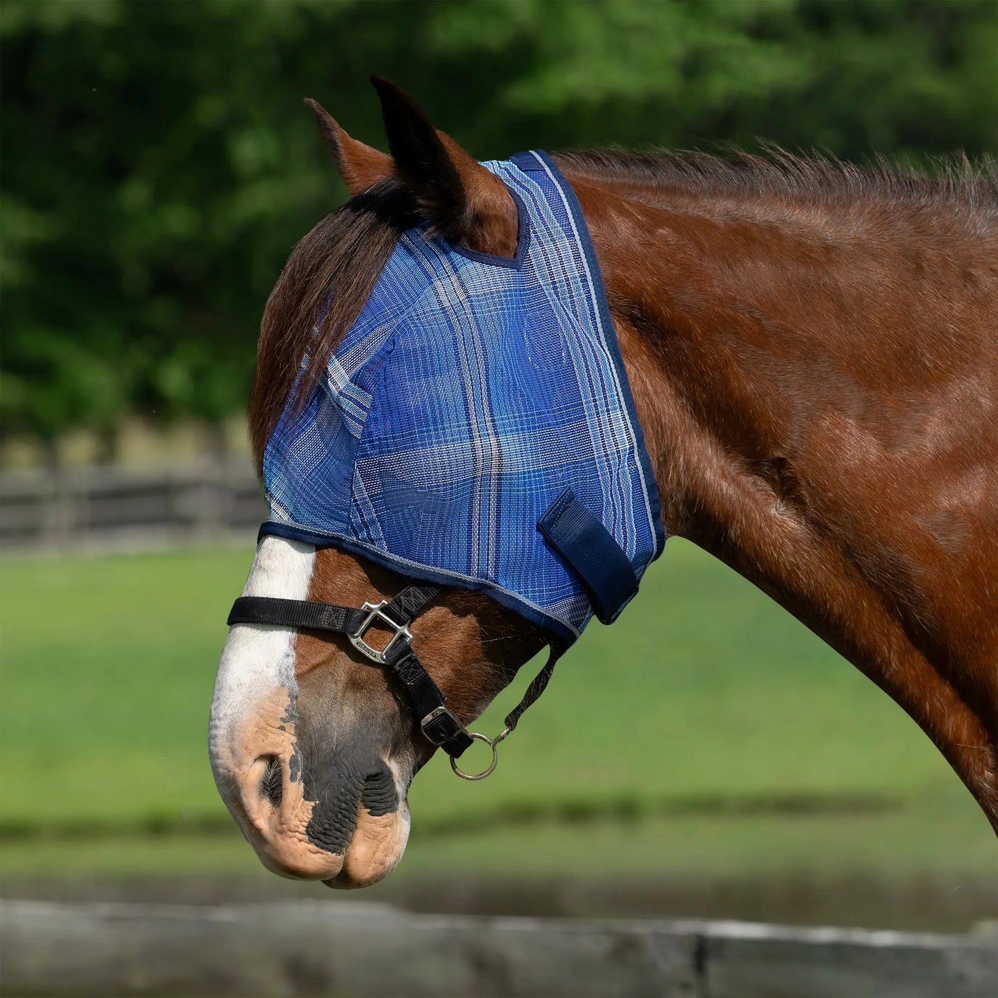 Draft Horse Fly Mask with 73% UV Protection - Riders Choice Supply Co