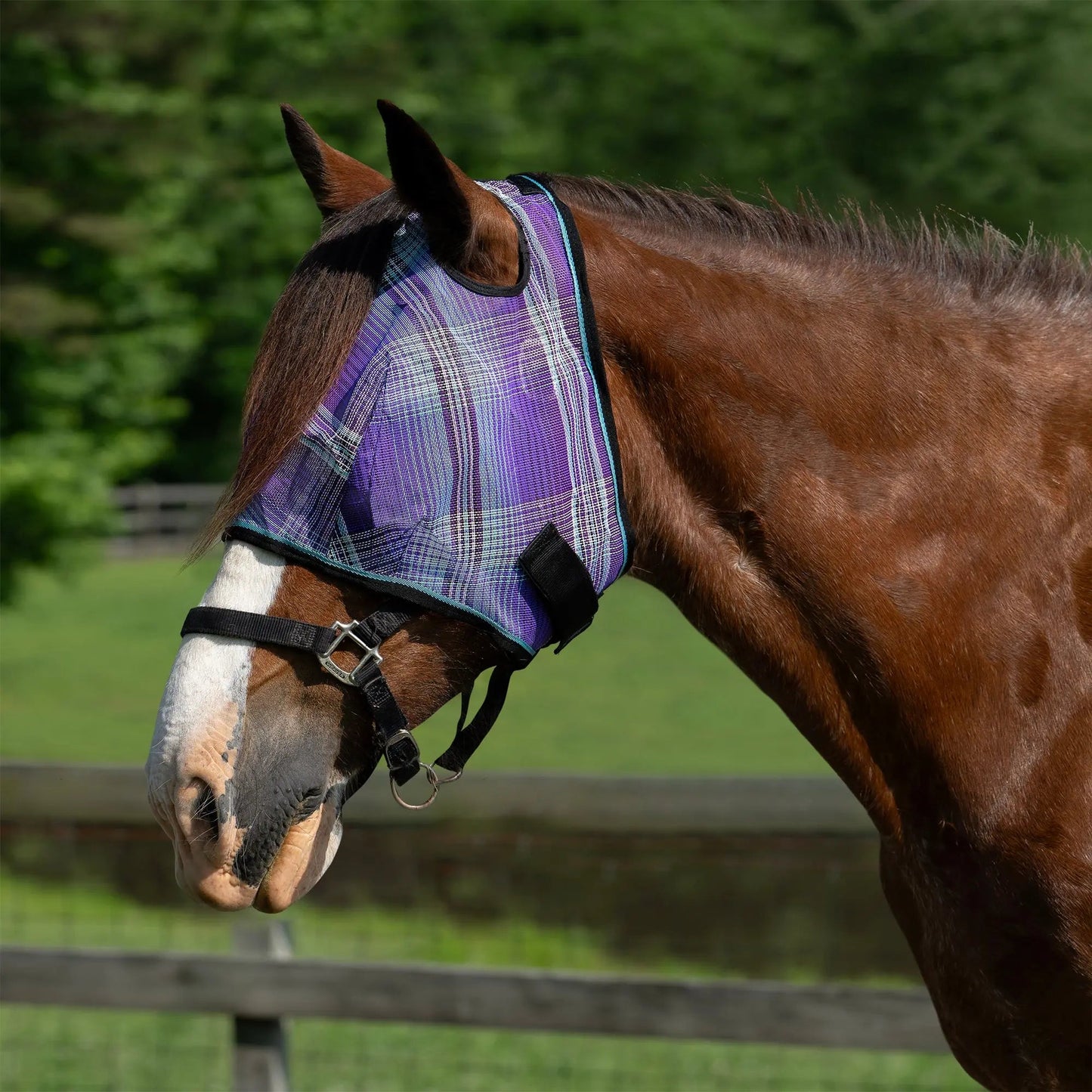 Draft Horse Fly Mask with 73% UV Protection - Riders Choice Supply Co