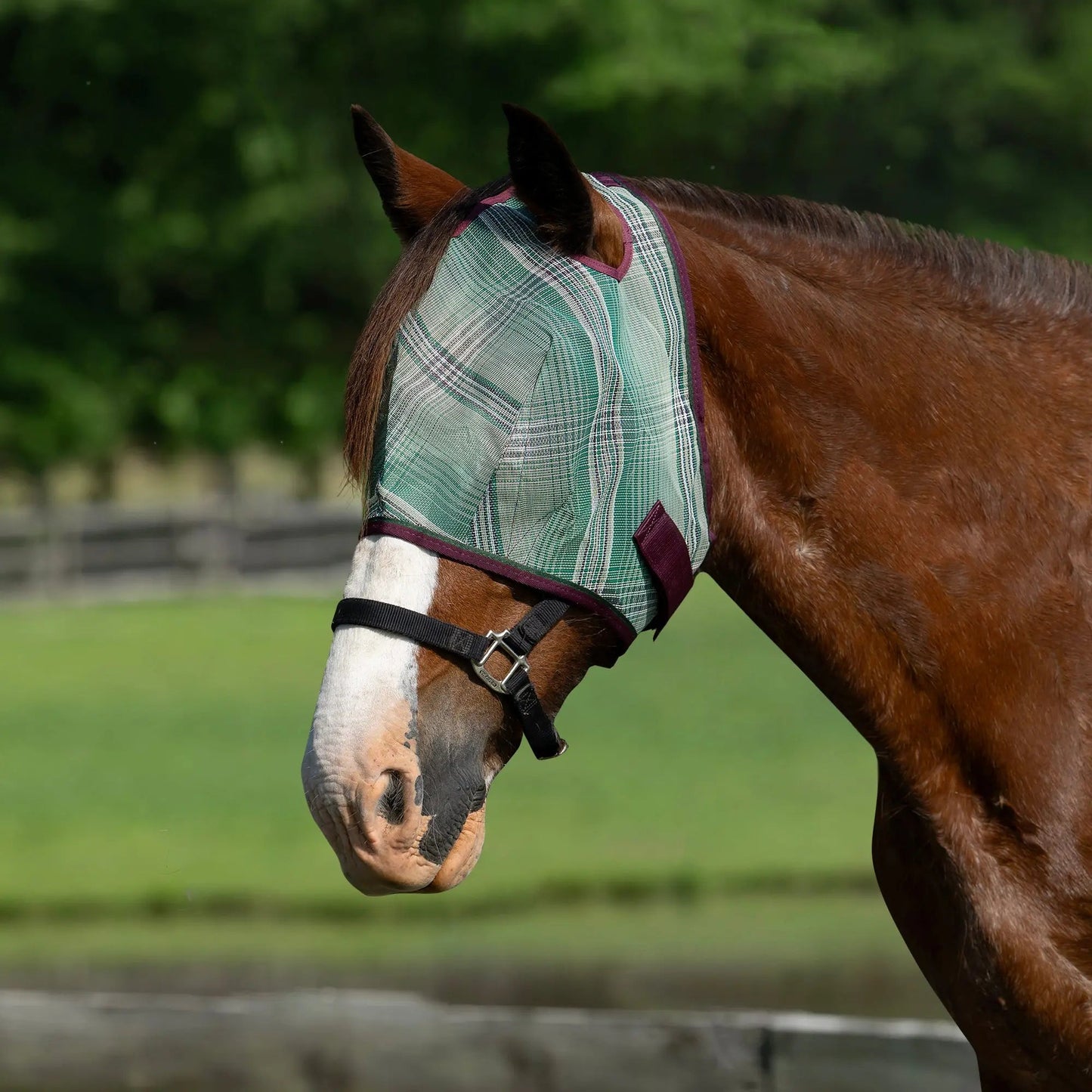 Draft Horse Fly Mask with 73% UV Protection - Riders Choice Supply Co