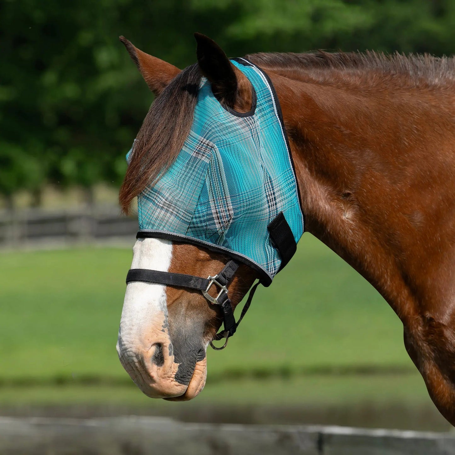 Draft Horse Fly Mask with 73% UV Protection - Riders Choice Supply Co