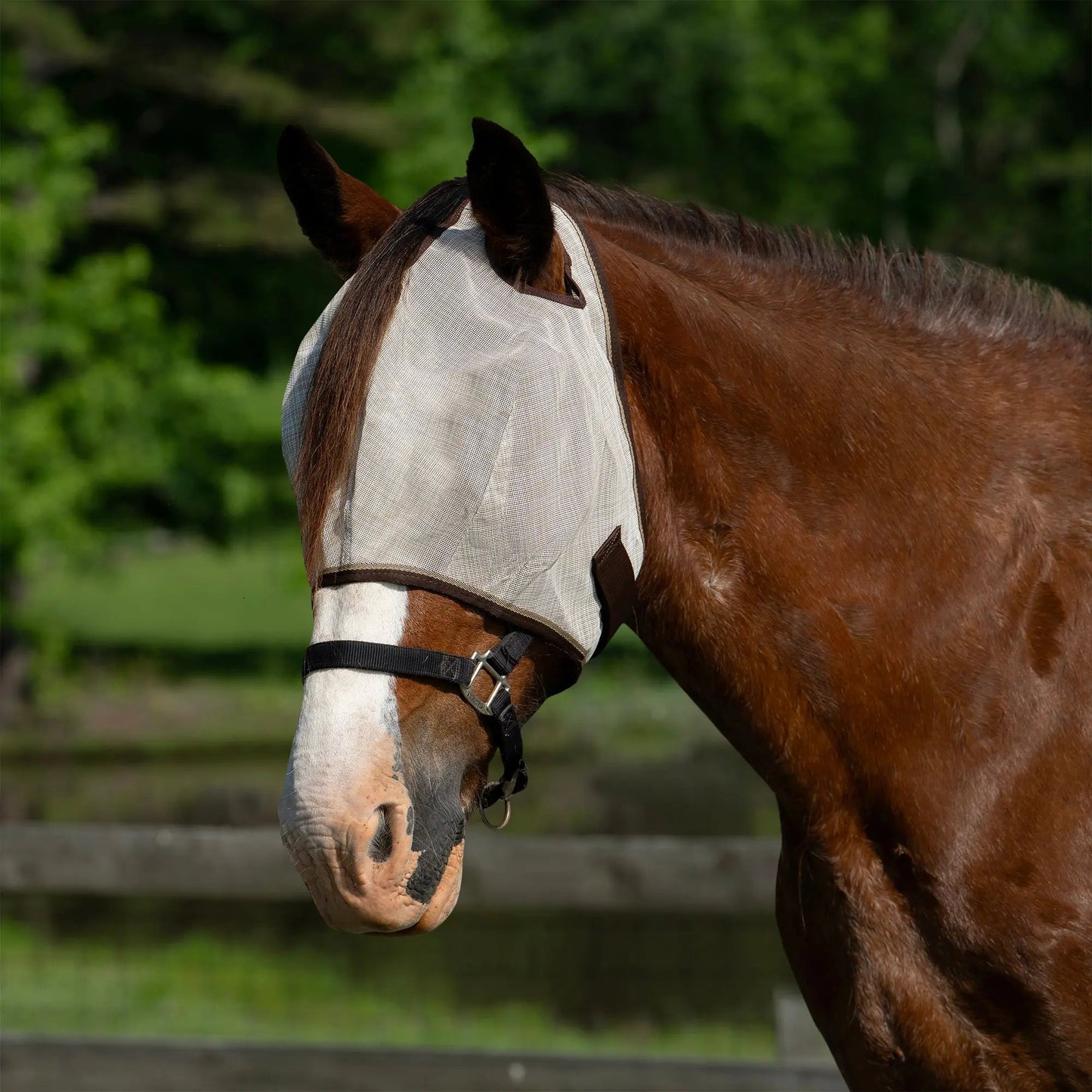 Draft Horse Fly Mask with 73% UV Protection - Riders Choice Supply Co