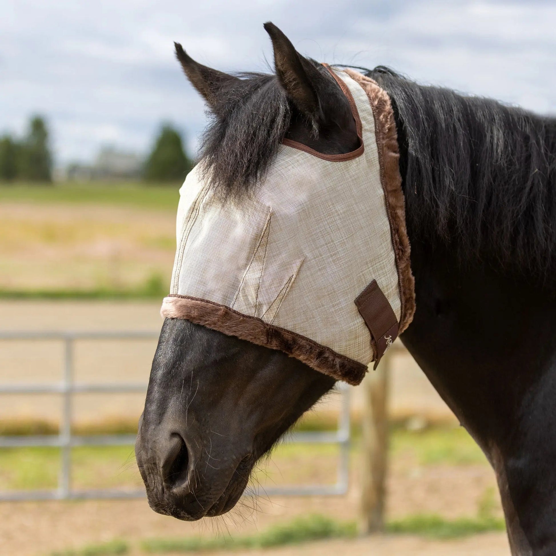 Draft Horse Fly Mask with Fleece Trim & 73% UV Protection - Open Top Design - Riders Choice Supply Co