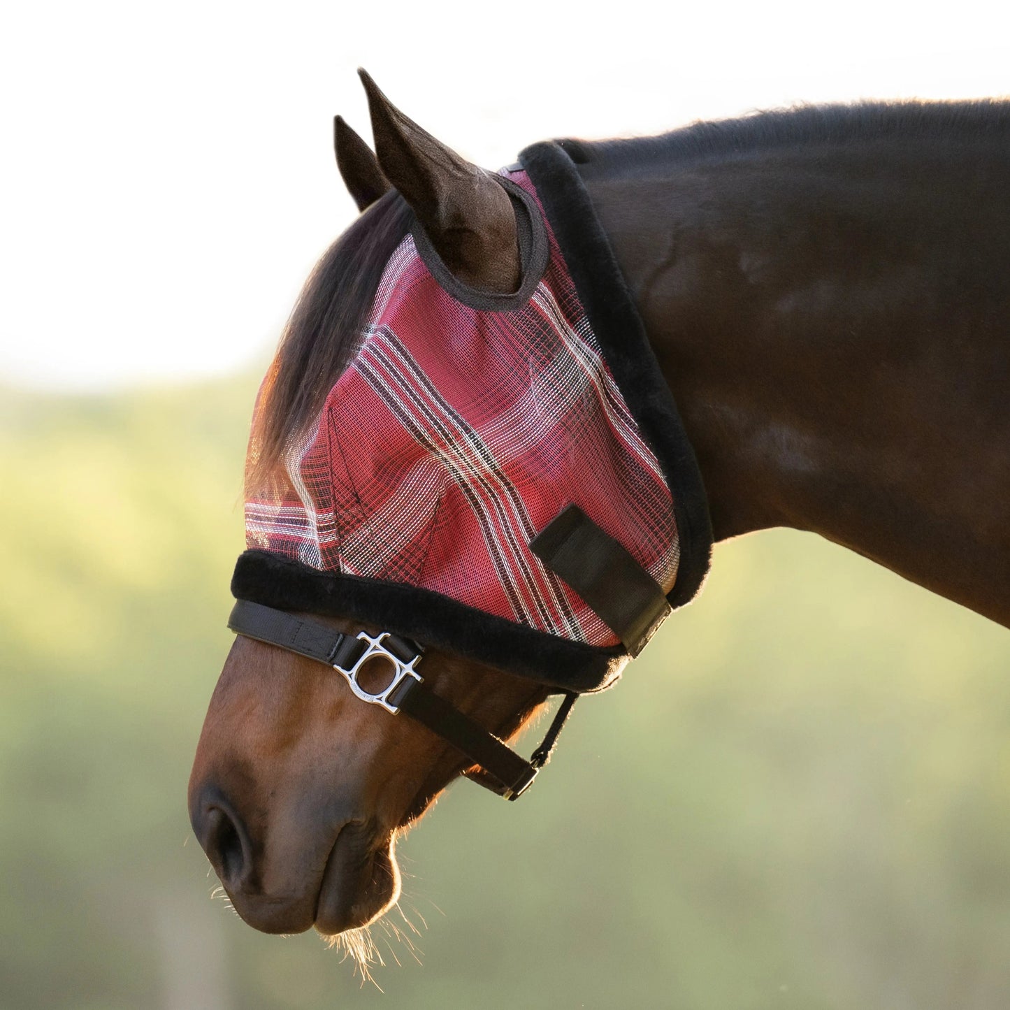 Fly Mask with Fleece Trim & 73% UV Protection - Riders Choice Supply Co
