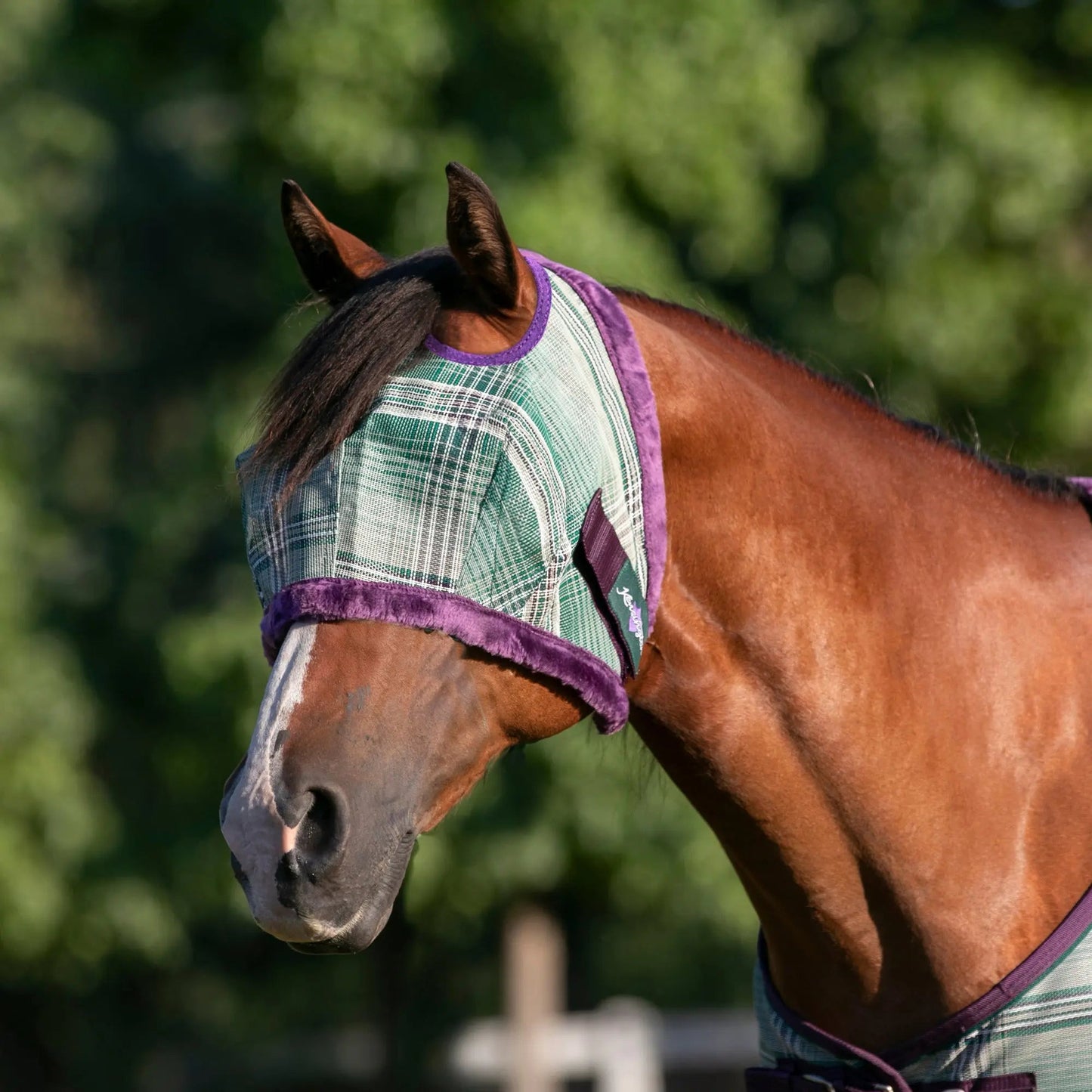Fly Mask with Fleece Trim & 73% UV Protection - Riders Choice Supply Co