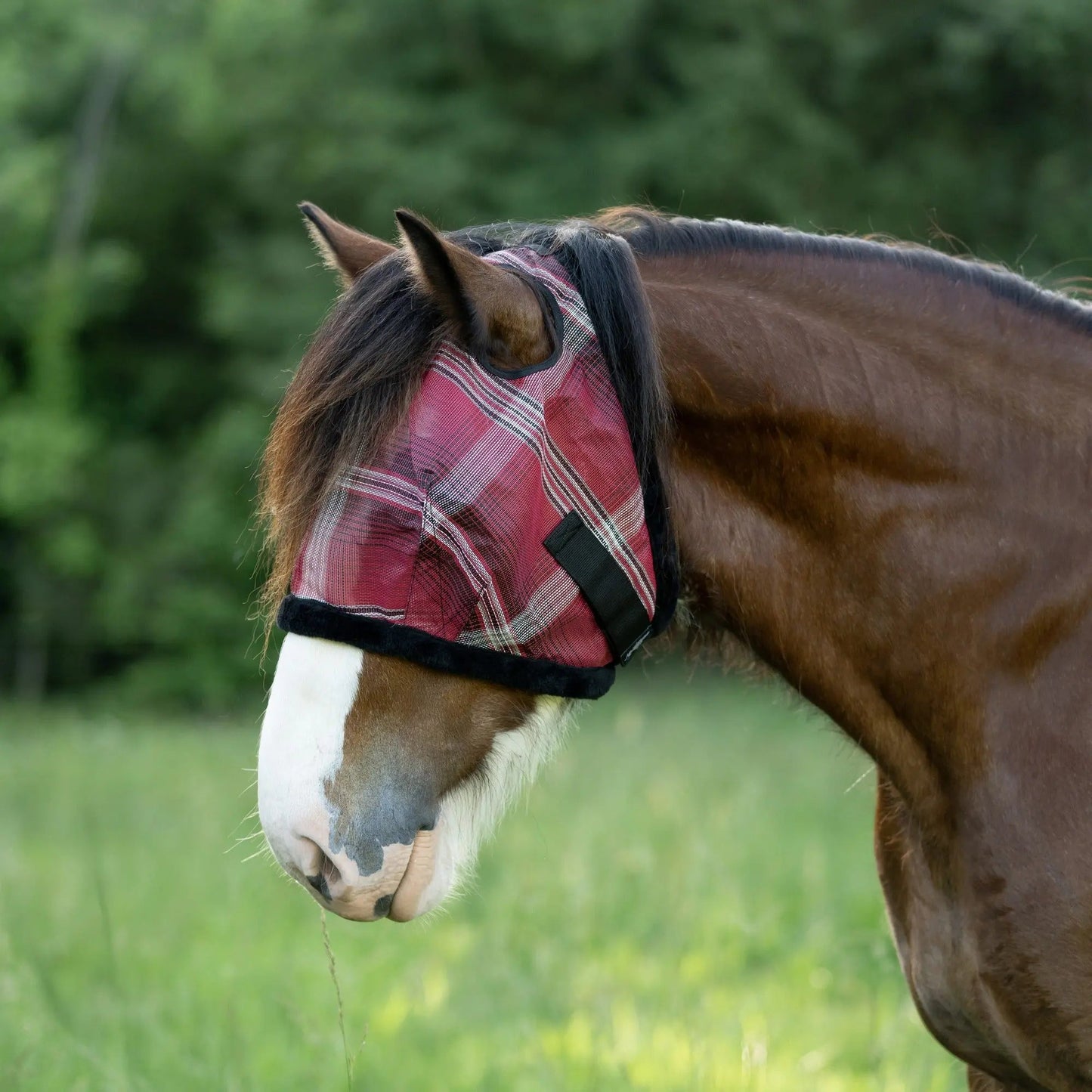 Draft Horse Fly Mask with Fleece Trim & 73% UV Protection - Riders Choice Supply Co